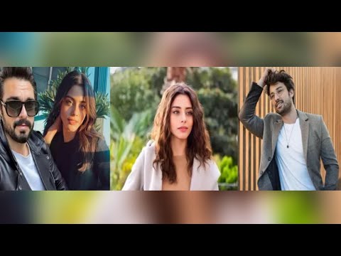 POJAVILA SE PREPISKA IZMEDJU - ALPA I SILE!