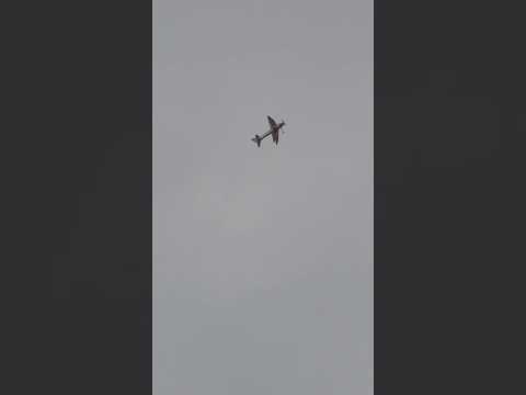 Pattern flying w/ SkyLeaf Leader #f3a #aerobatics #contra