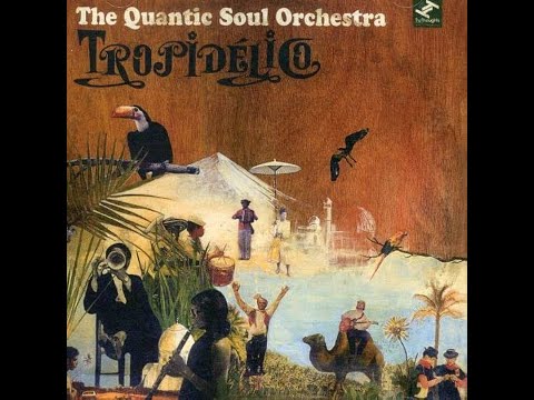 Quantic Soul Orchestra - Tropidelico (Full Album) 2007