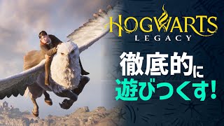 【実況】最高に楽しすぎる!!徹底的に遊びつくす生放送！【ホグワーツレガシー】【Hogwarts Legacy】