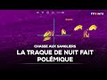 Chasse Aux Sangliers La Traque De Nuit Fait Polémique TF1 INFO