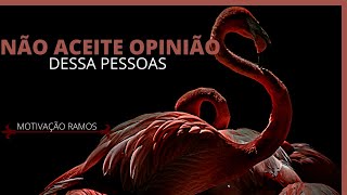 NO ACEITE NO COMO RESPONTA videos para motiva seu dia motivacional