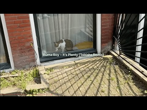 Burna Boy - It’s Plenty [Tobiahs Remix] (005 demo)