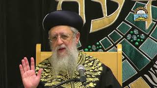 למי נותנים זכר למחצית השקל I מרן הראשון לציון הגאון רבי דוד יוסף שליט"א #הרב_דוד_יוסף #הראשון_לציון (מוסדות יחווה דעת) - התמונה מוצגת ישירות מתוך אתר האינטרנט יוטיוב. זכויות היוצרים בתמונה שייכות ליוצרה. קישור קרדיט למקור התוכן נמצא בתוך דף הסרטון