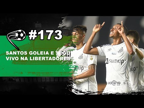 Com vitória, Santos ainda possui chances de classificação na Libertadores