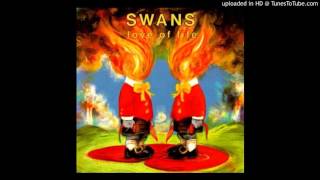 Swans  -  In the Eyes of Nature