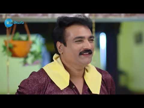 Rama Sakkani Seeta - రామ సక్కని సీత - Telugu Serial - EP - 310 - Nanda Kishore - Zee Telugu