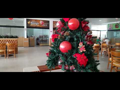 Um pouco do mercado municipal de Mata verde o nosso shopping. 