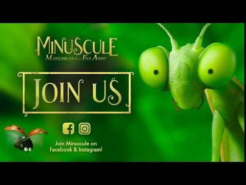 Join Minuscule on Facebook and Instagram!