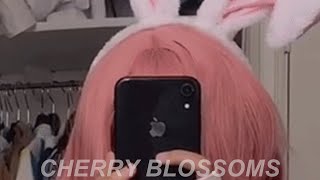 Cover art for cherry blossom