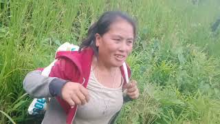 Download lagu mus de dib los txog los da dej xwb os /5/8/2021/ mp3