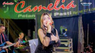 Download lagu CAMELIA MUSIC - WHITE RING - FAFA AULIA - PARTY JALARA HAPPY X CAKRA - SOMOSARI BATEALIT JEPARA mp3