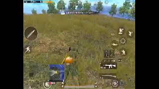 【PUBG MOBILE】鳥のさえずり聴きながら
