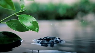  Our Passion for Water