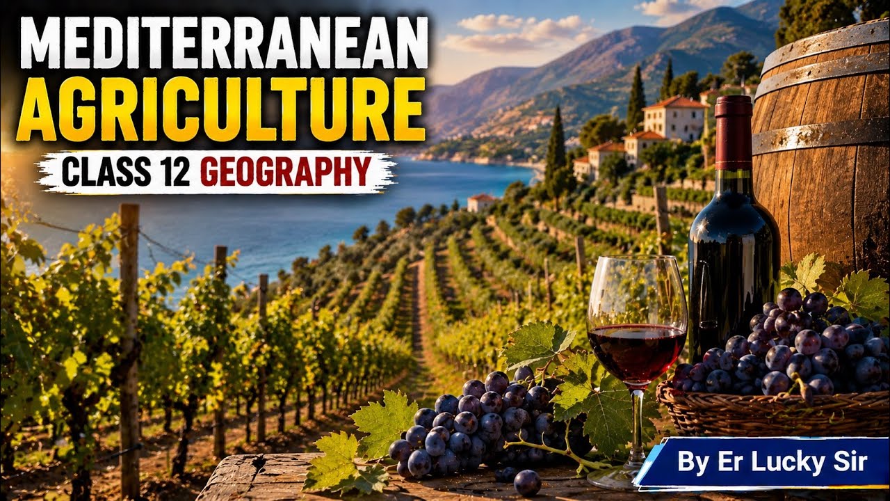 Mediterranean Agriculture -  Primary activities | Class 12 Geography