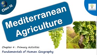 Mediterranean Agriculture -  Primary activities | Class 12 Geography