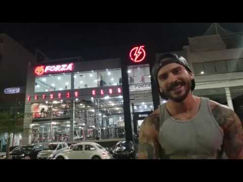 download lagu mp3 mp4 Forza Gym, download mp3 Forza Gym free download mp3, download mp3 Forza Gym