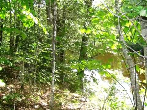 Homes for Sale - Shirley Road Blanchard ME 04464 - Andrea Worster