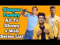 Shagun Pandey All Tv Serials List || All Web Series List || Indian Actor || Kyu Utthe Dil Chhod Aaye