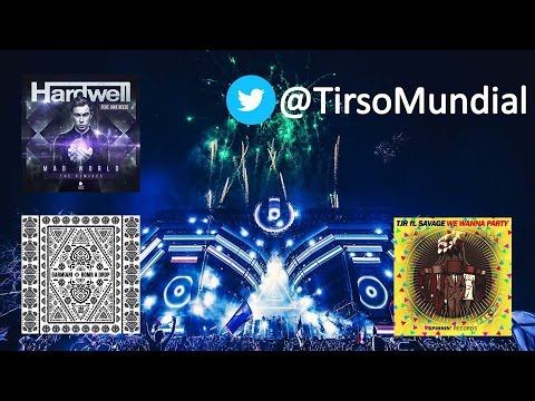 Hardwell vs Garmiani, DJSnake, TJR & Savage - Mad Bomb a Party (Hardwell Mashup)10K Views