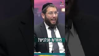 פוחד/ת מכלבים? (הרב אייל אונגר) - התמונה מוצגת ישירות מתוך אתר האינטרנט יוטיוב. זכויות היוצרים בתמונה שייכות ליוצרה. קישור קרדיט למקור התוכן נמצא בתוך דף הסרטון
