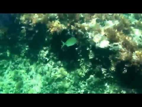 Xavia Jávea - cala el Francés