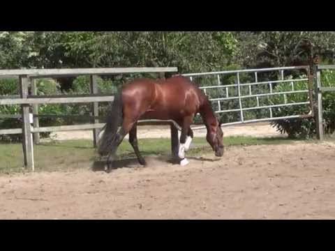 Denver v.  Dresemann