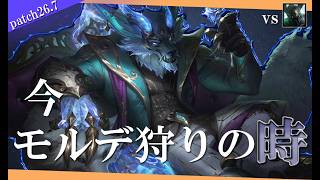 【ワーウィック】モルデカイザーに出すと気分が良くなります。【解説動画】