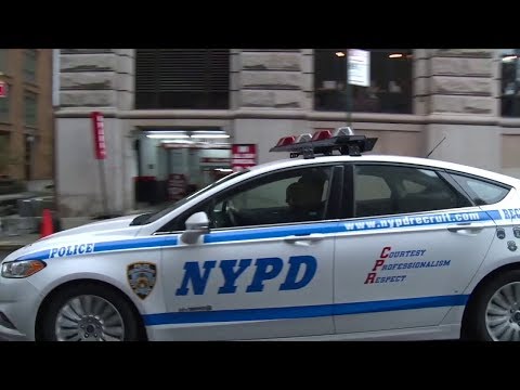 N. Y. P. D.  Reforms
