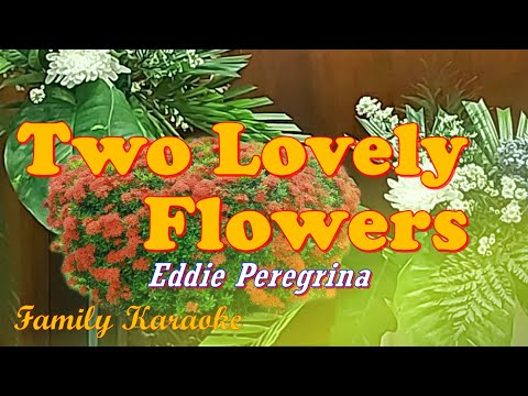 Two Lovely Flowers - Karaoke - Eddie Peregrina #FamilyKaraoke