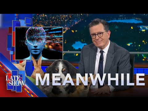 Meanwhile... Giving Birth On A Plane | Where Echidnas Come From | Talk To Animals Using AI