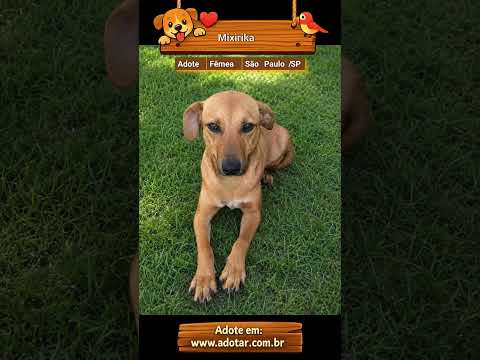 Vídeo de Mixirika 