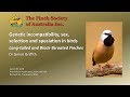 Long Tailed And Black Throated Finches Genetic Differences