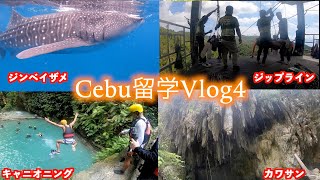 【セブ留学】Oslob(ジンベイザメウォッチング)＆カワサンツアーが楽しすぎた