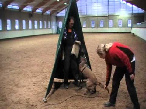 C-Lux av staalhjerte VS Vit Glisnik