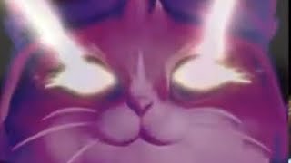 Overwatch 毒ジパキ 降臨