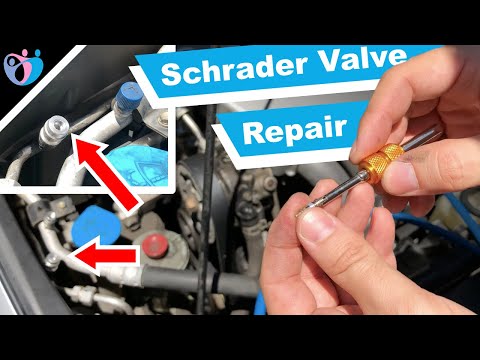 How to replace a AC Service Port Schrader Valve on a car A/C line
