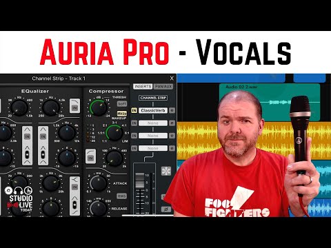 Auria Pro | Vocal recording on iPad
