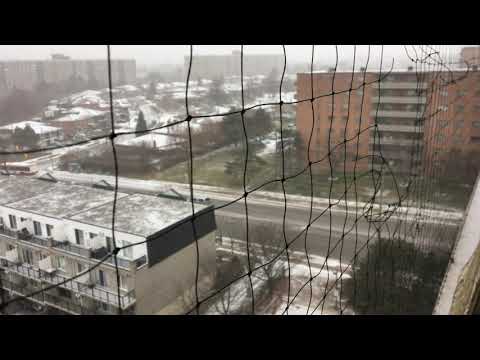 Toronto Weather first day of Dec 2019 | Chilly, windy and freezing rain