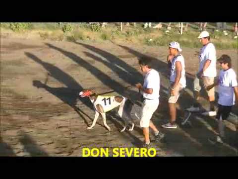 ADRIANITO Campeon Nacional e Internacional 2015 G1 - WWW.SOYGALGUERO.COM