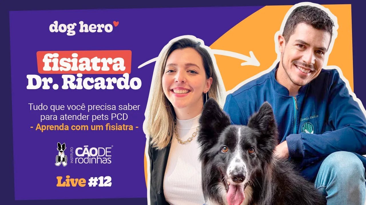 Tudo que você precisa saber para atender pets PCD | Aprenda com um fisiatra | Live #12
