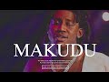 “MAKUDU” Shallipopi x Seyi Vibez Amapiano Type beat | Afrobeat Instrumental 2024 Free