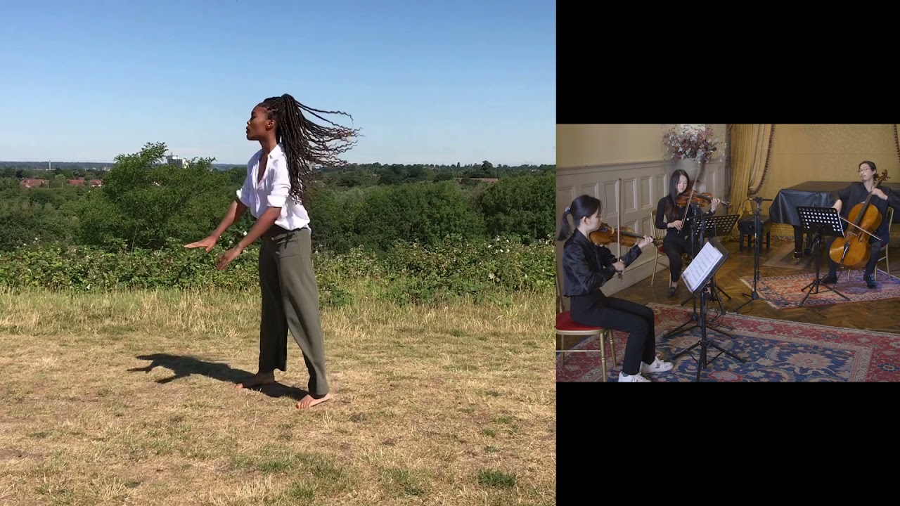 Video Image