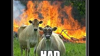 Animal Revenge: Ironic Ailments from Eating Animal Products