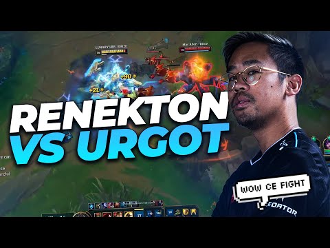 UN FIGHT COMPLETEMENT WTF !!