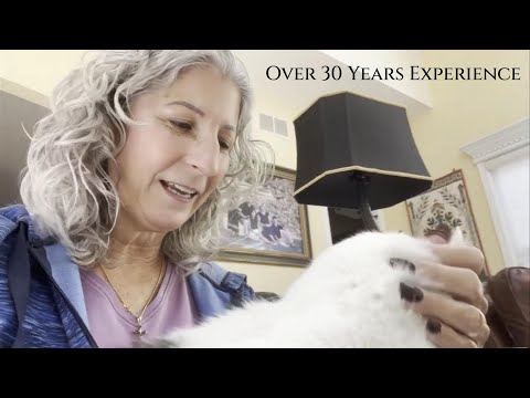 Pet Sitter Garden Grove