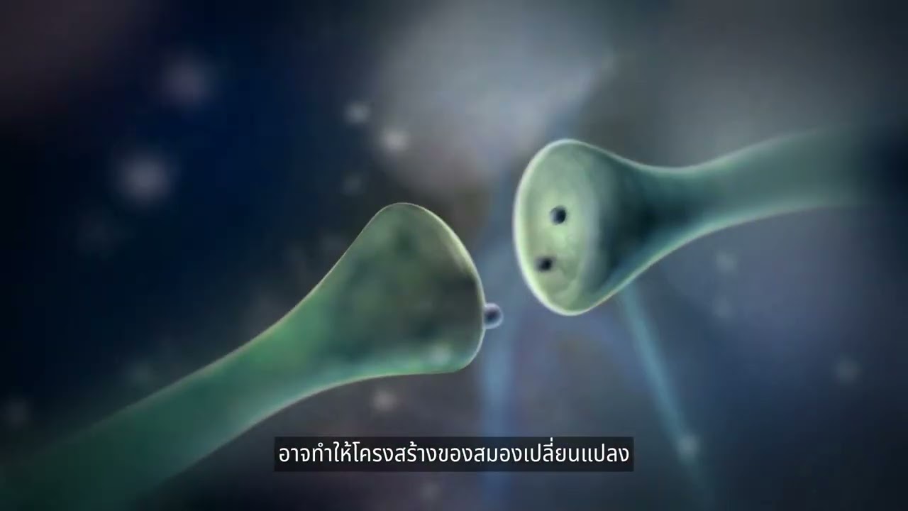 ฝุ่นละออง PM2.5 ส่งผลกระทบอะไรบ้างต่อแม่และทารกในครรภ์ (ซับไทย)