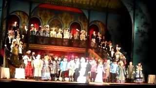 Curtain Call in Lehar's "The Merry Widow" with Renee Fleming. 01.03.2014