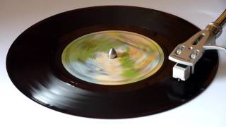 Fleetwood Mac - Go Your Own Way - Vinyl Play