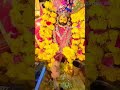 Chaya Re Basanti Rang Lo Fagun Aaya Re Viral Trending Khatushyamji Torandarbar Fagun Status Shorts